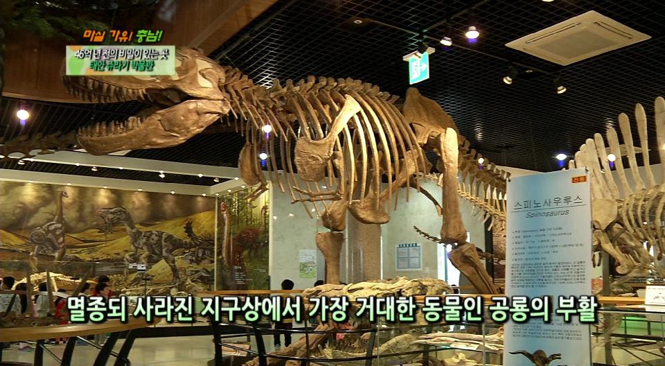 (마실가유 충남) 46억 년 전의 비밀이 있는 곳, 태안 쥬라기 박물관