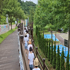 삼선산수목원 둘레길 & 황톳길 함께 걸어요